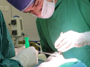 دکتر سید رضا سید محمد دولابی