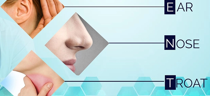 گوش، حلق و بینی (ENT)